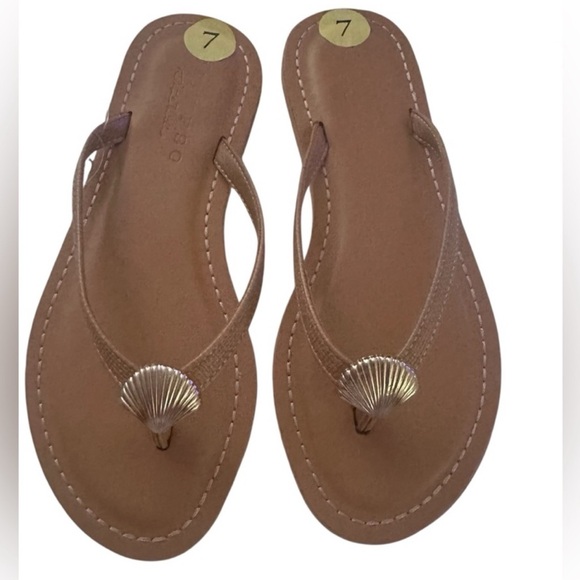 Shoes - Brown Sandals with Shell Detail